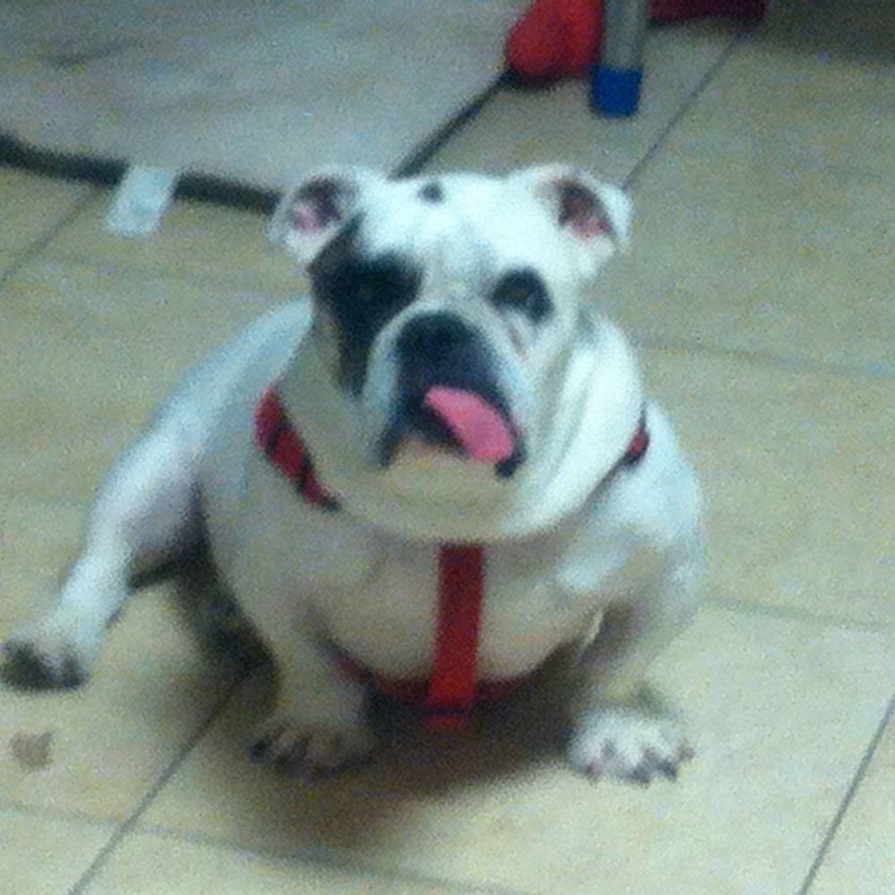 Meet your Posher, Koné